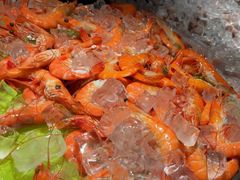 -星伦多自助料理·涮烤一体(江桥万达店)