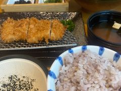 -胜博殿日式炸猪排(西红门店)
