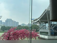 -唐廊烤鸭店(工体店)