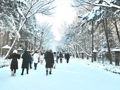 -北海道神宫
