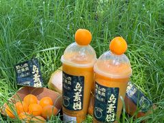 -鲜芒多·杨枝甘露(摩尔城A座10楼店)