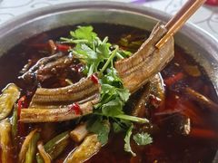 -高坎一品甲鱼庄(两河店)