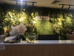 -小熊维尼高端孕婴摄影(清湖金銮店)