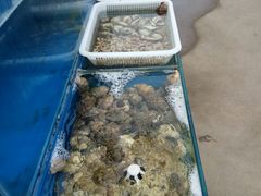 -鼓歌海鲜舫·手抓海鲜(大学城店)