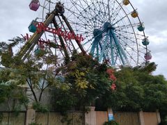 -巨鹏飞梦幻海岸