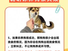 -立德动物医院·异宠·CT·鹦鹉(天河店)