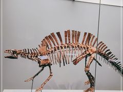 -湖南省地质博物馆