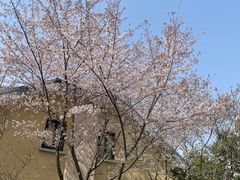 -颐和路民国时期公馆风貌区