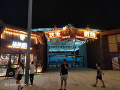 -三亚海昌梦幻海洋不夜城