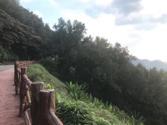 -广州市石门国家森林公园