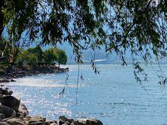 -洱海月湿地公园