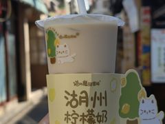 -猫的魔法密林(衣裳街店)