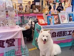 -友谊阳光城