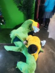 -恐龙探索乐园(磁器口店)