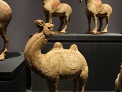 -鄂尔多斯博物馆