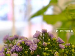 -绿小院(荔湾店)