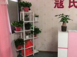-寇氏减肥