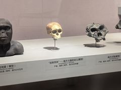 -武汉园博园(武汉自然博物馆)