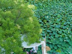 -清漾毛氏文化村