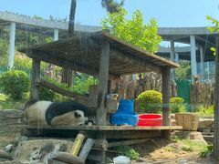-大连森林动物园