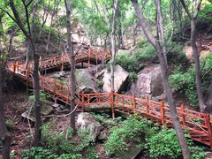 景点-大岭沟猕猴桃谷风景区