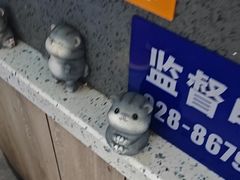 -半岛宠物医院24小时(白果林店)