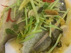 -肥信潮菜(科新路店)