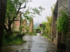 -牛背梁国家森林公园