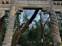 -平湖九龙山旅游度假区