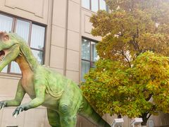 -国家自然博物馆