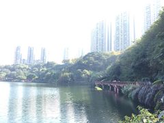 -重庆彩云湖湿地公园