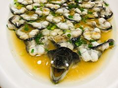 -呼吸森林·生态农庄农家乐私房菜