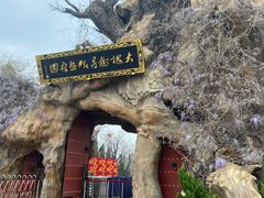 -大槐树寻根祭祖园