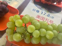 -马陆小张葡萄园农家乐