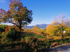 -塔川景区