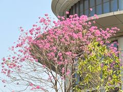 -佛山复星禅诚医院