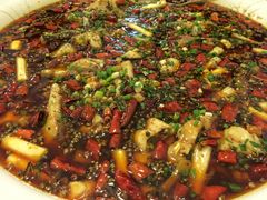 来凤鱼-瓦房兔(璧山店)