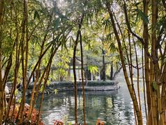 -晓港公园