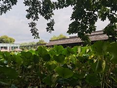 -莫催咖啡