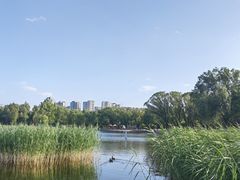 -太阳宫公园