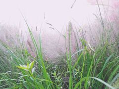 -星巴克(成都科学城店)