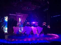 -广州长隆国际大马戏