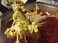 -蜀九香火锅(九眼桥店)