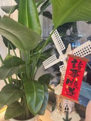-名媛颜蕙·LPG官方旗舰店