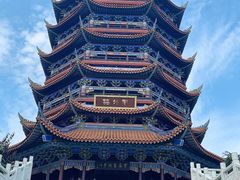 -铁山坪森林公园