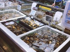-盒马鲜生(大成店)