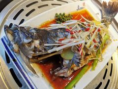 黑头鱼-大富蚝  沙子口烧鱼•海菜蒸包