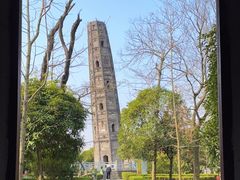 -上海佘山国家森林公园天马山园