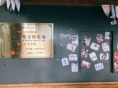 -柴犬高等学院·狗咖·柴犬售卖·宠物训练