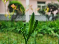 -陕西师范大学(雁塔校区)